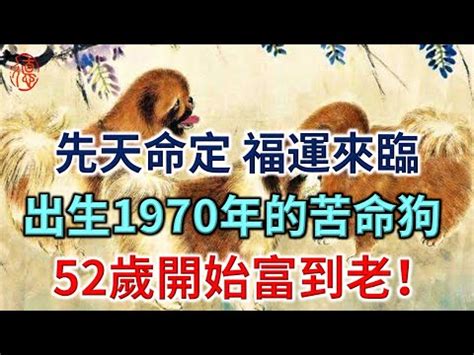 1970年屬狗|【1970年屬狗 五行屬什麼生肖】十狗九苦 